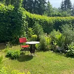 Wildrose * Bad Mitterndorf