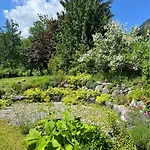 Wildrose Apartamento Bad Mitterndorf