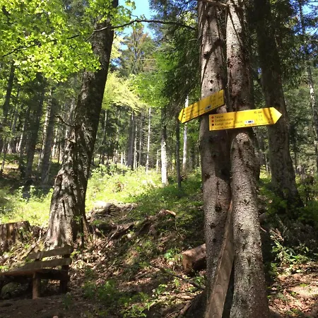 Wildrose Apartamento *