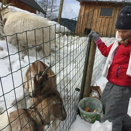 Wildrose * Bad Mitterndorf