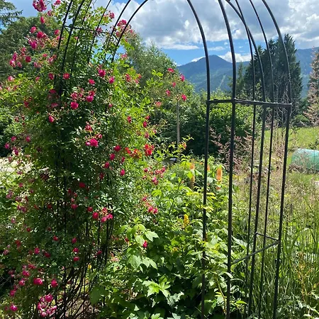 Wildrose Apartamento *