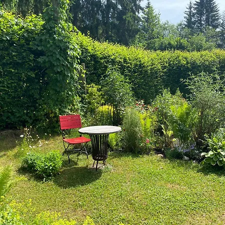 Wildrose * Bad Mitterndorf