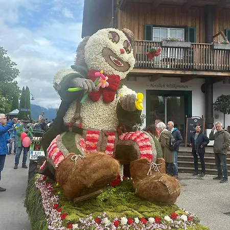 Wildrose Bad Mitterndorf