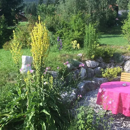 Apartamento Wildrose Bad Mitterndorf