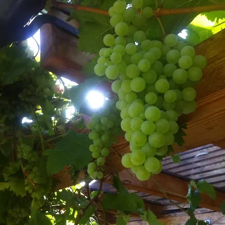 Wildrose Apartamento *