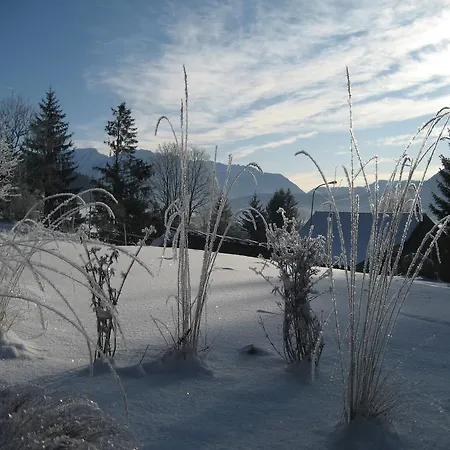 Wildrose Bad Mitterndorf