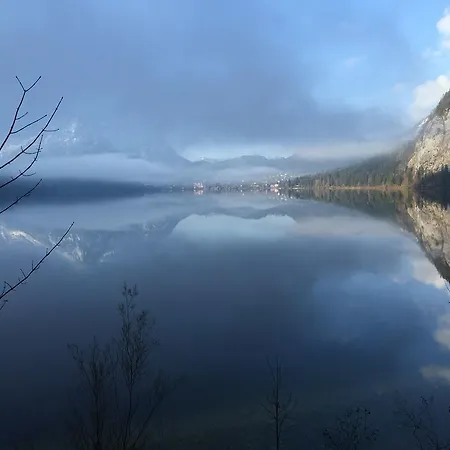 Wildrose Apartamento *