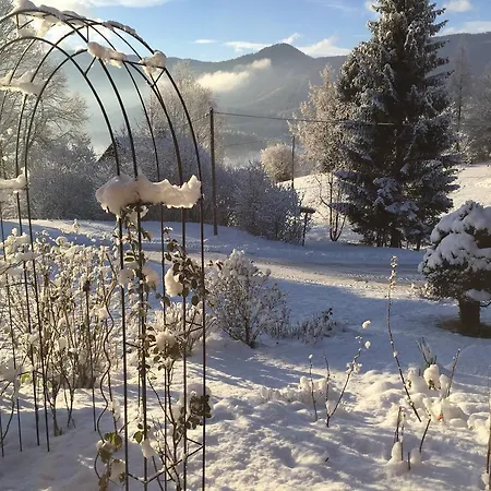 Wildrose Appartamento Bad Mitterndorf