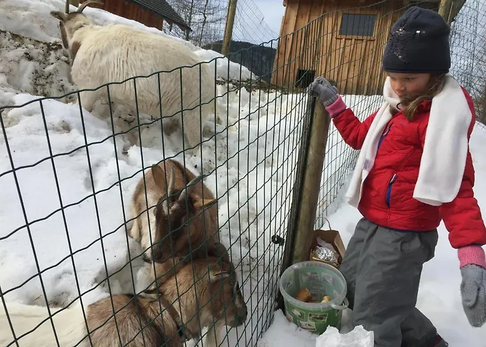 Wildrose * Bad Mitterndorf