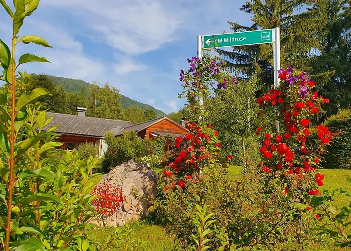 Wildrose * Bad Mitterndorf