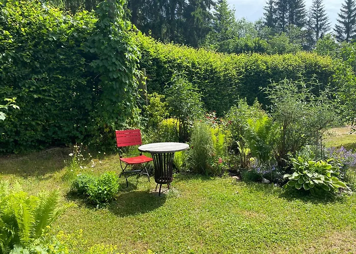 Wildrose * Bad Mitterndorf