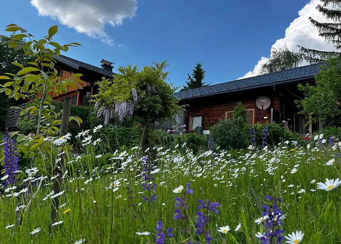 Appartement Wildrose Bad Mitterndorf