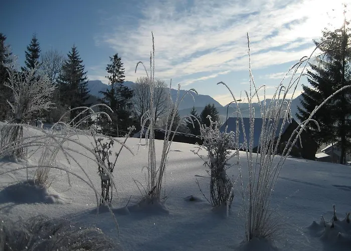 Wildrose Bad Mitterndorf