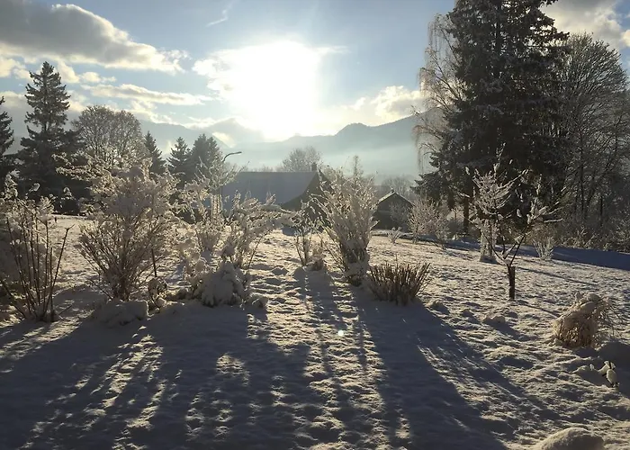 Wildrose شقة باد ميترندورف